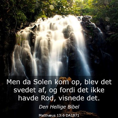 Picture 03 - Matthæus 13:6 DA1871 - Men da Solen kom op, blev det svedet af, og fordi - Bible Verse Picture