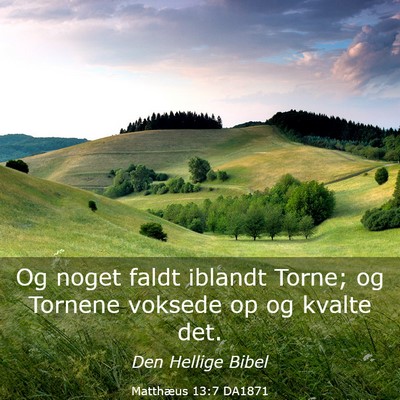 Picture 03 - Matthæus 13:7 DA1871 - Og noget faldt iblandt Torne; og Tornene voksede - Bible Verse Picture