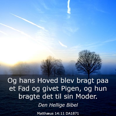 Picture 03 - Matthæus 14:11 DA1871 - Og hans Hoved blev bragt paa et Fad og givet - Bible Verse Picture