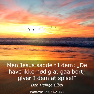 Picture 03 - Matthæus 14:16 DA1871 - Men Jesus sagde til dem: „De have ikke nødig - Bible Verse Picture
