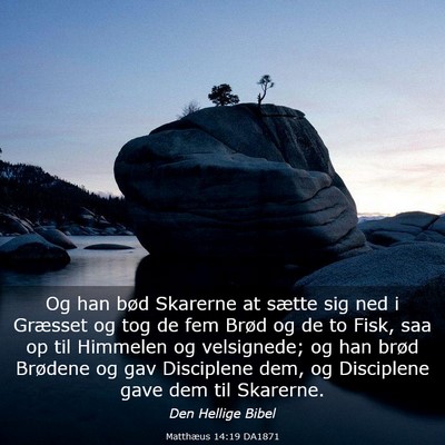 Picture 03 - Matthæus 14:19 DA1871 - Og han bød Skarerne at sætte sig ned i Græsset - Bible Verse Picture