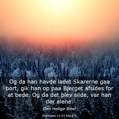 Picture 03 - Matthæus 14:23 DA1871 - Og da han havde ladet Skarerne gaa bort, gik han - Bible Verse Picture