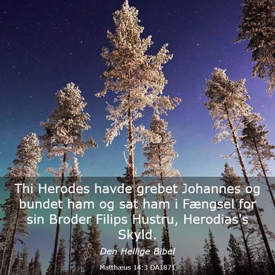 Picture 03 - Matthæus 14:3 DA1871 - Thi Herodes havde grebet Johannes og bundet ham - Bible Verse Picture