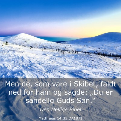 Picture 03 - Matthæus 14:33 DA1871 - Men de, som vare i Skibet, faldt ned for ham og - Bible Verse Picture