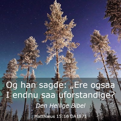 Picture 03 - Matthæus 15:16 DA1871 - Og han sagde: „Ere ogsaa I endnu saa - Bible Verse Picture