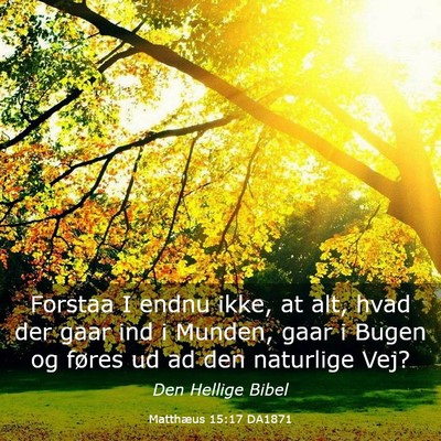 Picture 03 - Matthæus 15:17 DA1871 - Forstaa I endnu ikke, at alt, hvad der gaar ind i - Bible Verse Picture