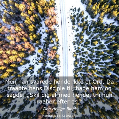 Picture 03 - Matthæus 15:23 DA1871 - Men han svarede hende ikke et Ord. Da traadte - Bible Verse Picture