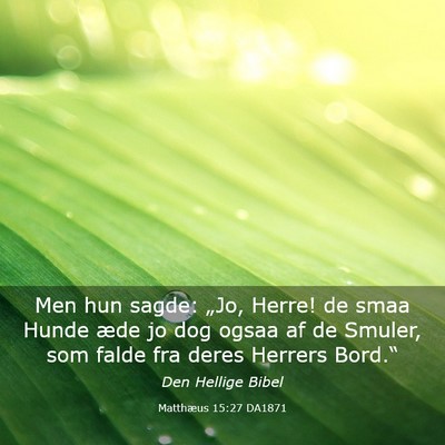 Picture 03 - Matthæus 15:27 DA1871 - Men hun sagde: „Jo, Herre! de smaa Hunde æde - Bible Verse Picture