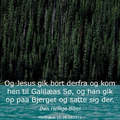 Picture 03 - Matthæus 15:29 DA1871 - Og Jesus gik bort derfra og kom hen til Galilæas - Bible Verse Picture