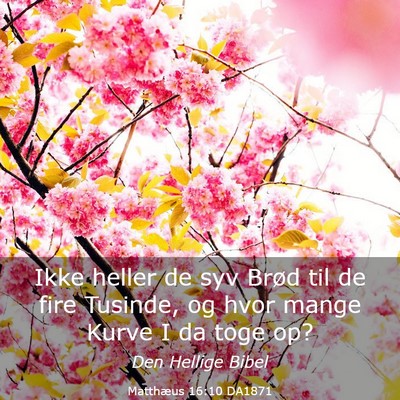 Picture 03 - Matthæus 16:10 DA1871 - Ikke heller de syv Brød til de fire Tusinde, og - Bible Verse Picture