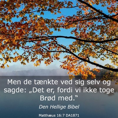 Picture 03 - Matthæus 16:7 DA1871 - Men de tænkte ved sig selv og sagde: „Det er, - Bible Verse Picture