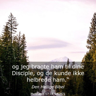 Picture 03 - Matthæus 17:16 DA1871 - og jeg bragte ham til dine Disciple, og de kunde - Bible Verse Picture