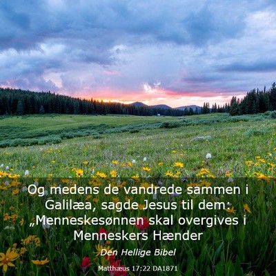 Picture 03 - Matthæus 17:22 DA1871 - Og medens de vandrede sammen i Galilæa, sagde - Bible Verse Picture