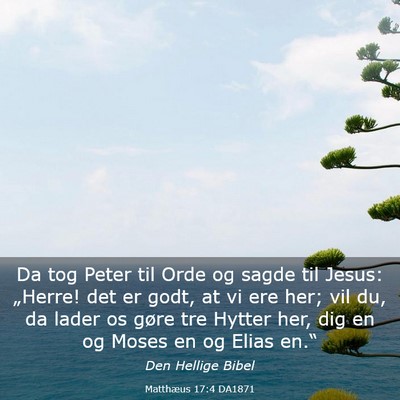 Picture 03 - Matthæus 17:4 DA1871 - Da tog Peter til Orde og sagde til Jesus: - Bible Verse Picture
