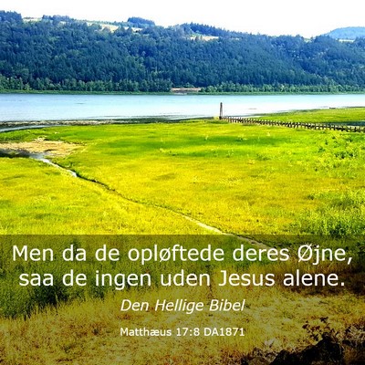 Picture 03 - Matthæus 17:8 DA1871 - Men da de opløftede deres Øjne, saa de ingen - Bible Verse Picture