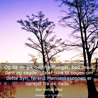 Picture 03 - Matthæus 17:9 DA1871 - Og da de gik ned fra Bjerget, bød Jesus dem og - Bible Verse Picture