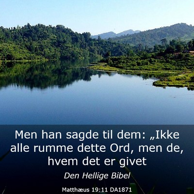 Picture 03 - Matthæus 19:11 DA1871 - Men han sagde til dem: „Ikke alle rumme dette - Bible Verse Picture