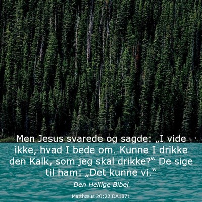 Picture 03 - Matthæus 20:22 DA1871 - Men Jesus svarede og sagde: „I vide ikke, hvad - Bible Verse Picture