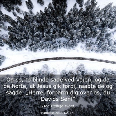 Picture 03 - Matthæus 20:30 DA1871 - Og se, to blinde sade ved Vejen, og da de hørte, - Bible Verse Picture