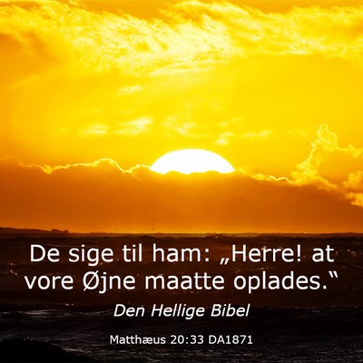 Picture 03 - Matthæus 20:33 DA1871 - De sige til ham: „Herre! at vore Øjne maatte - Bible Verse Picture