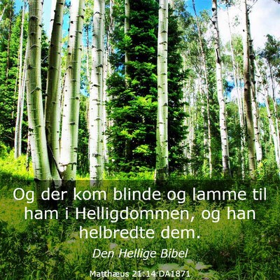 Picture 03 - Matthæus 21:14 DA1871 - Og der kom blinde og lamme til ham i - Bible Verse Picture