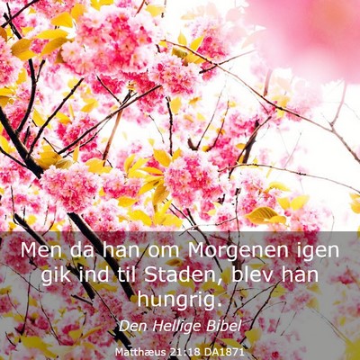 Picture 03 - Matthæus 21:18 DA1871 - Men da han om Morgenen igen gik ind til Staden, - Bible Verse Picture