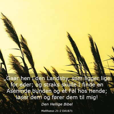 Picture 03 - Matthæus 21:2 DA1871 - „Gaar hen i den Landsby, som ligger lige for - Bible Verse Picture