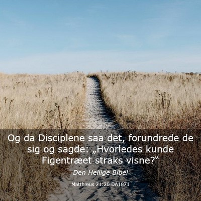 Picture 03 - Matthæus 21:20 DA1871 - Og da Disciplene saa det, forundrede de sig og - Bible Verse Picture