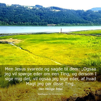 Picture 03 - Matthæus 21:24 DA1871 - Men Jesus svarede og sagde til dem: „Ogsaa jeg - Bible Verse Picture