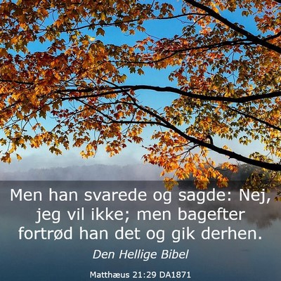 Picture 03 - Matthæus 21:29 DA1871 - Men han svarede og sagde: Nej, jeg vil ikke; men - Bible Verse Picture