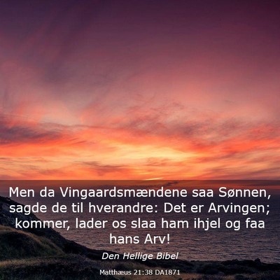 Picture 03 - Matthæus 21:38 DA1871 - Men da Vingaardsmændene saa Sønnen, sagde de - Bible Verse Picture