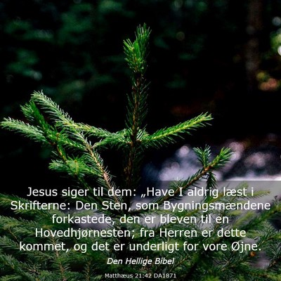 Picture 03 - Matthæus 21:42 DA1871 - Jesus siger til dem: „Have I aldrig læst i - Bible Verse Picture