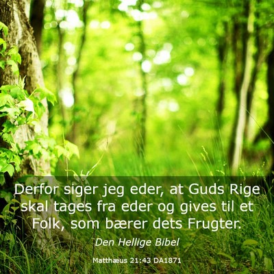 Picture 03 - Matthæus 21:43 DA1871 - Derfor siger jeg eder, at Guds Rige skal tages - Bible Verse Picture