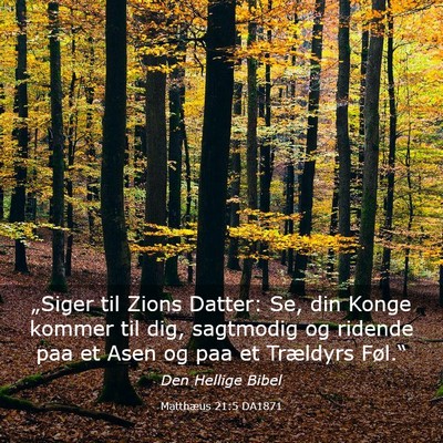 Picture 03 - Matthæus 21:5 DA1871 - „Siger til Zions Datter: Se, din Konge kommer - Bible Verse Picture