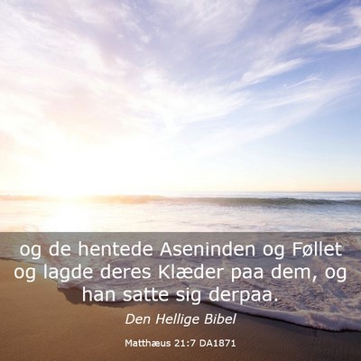 Picture 03 - Matthæus 21:7 DA1871 - og de hentede Aseninden og Føllet og lagde deres - Bible Verse Picture