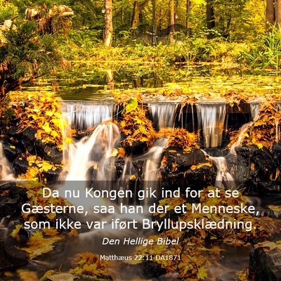Picture 03 - Matthæus 22:11 DA1871 - Da nu Kongen gik ind for at se Gæsterne, saa han - Bible Verse Picture