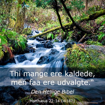 Picture 03 - Matthæus 22:14 DA1871 - Thi mange ere kaldede, men faa ere - Bible Verse Picture