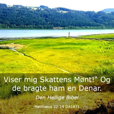 Picture 03 - Matthæus 22:19 DA1871 - Viser mig Skattens Mønt!“ Og de bragte ham en - Bible Verse Picture