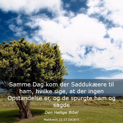 Picture 03 - Matthæus 22:23 DA1871 - Samme Dag kom der Saddukæere til ham, hvilke - Bible Verse Picture
