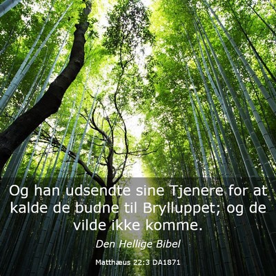 Picture 03 - Matthæus 22:3 DA1871 - Og han udsendte sine Tjenere for at kalde de - Bible Verse Picture