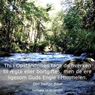 Picture 03 - Matthæus 22:30 DA1871 - Thi i Opstandelsen tage de hverken til Ægte - Bible Verse Picture