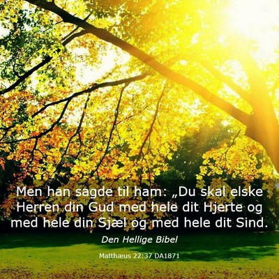Picture 03 - Matthæus 22:37 DA1871 - Men han sagde til ham: „Du skal elske Herren - Bible Verse Picture
