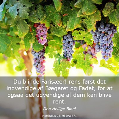 Picture 03 - Matthæus 23:26 DA1871 - Du blinde Farisæer! rens først det indvendige - Bible Verse Picture