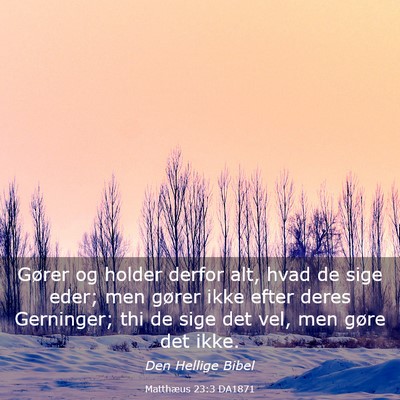 Picture 03 - Matthæus 23:3 DA1871 - Gører og holder derfor alt, hvad de sige eder; - Bible Verse Picture