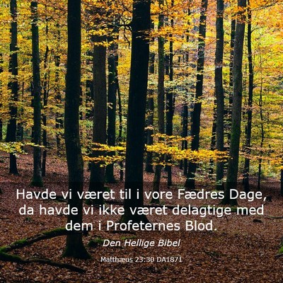 Picture 03 - Matthæus 23:30 DA1871 - Havde vi været til i vore Fædres Dage, da havde - Bible Verse Picture