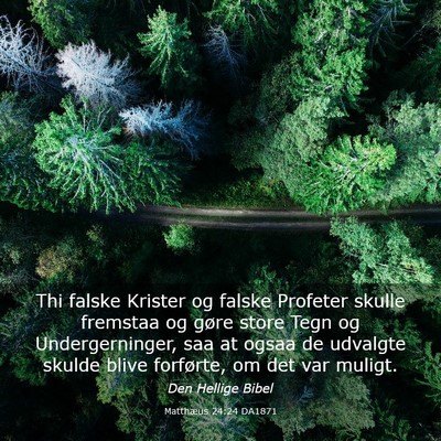 Picture 03 - Matthæus 24:24 DA1871 - Thi falske Krister og falske Profeter skulle - Bible Verse Picture