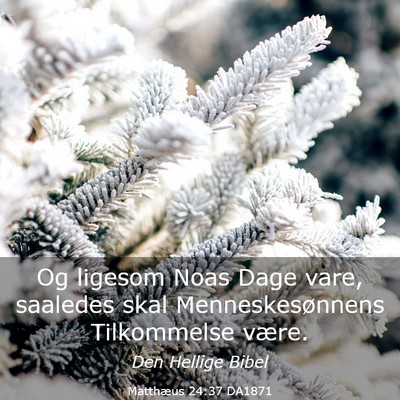 Picture 03 - Matthæus 24:37 DA1871 - Og ligesom Noas Dage vare, saaledes skal - Bible Verse Picture