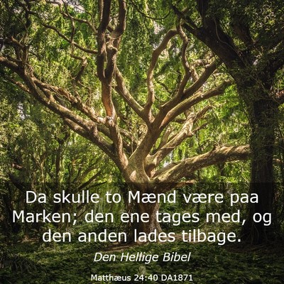 Picture 03 - Matthæus 24:40 DA1871 - Da skulle to Mænd være paa Marken; den ene - Bible Verse Picture