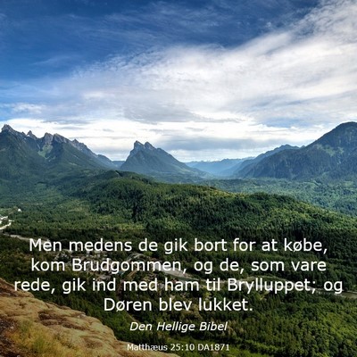 Picture 03 - Matthæus 25:10 DA1871 - Men medens de gik bort for at købe, kom - Bible Verse Picture