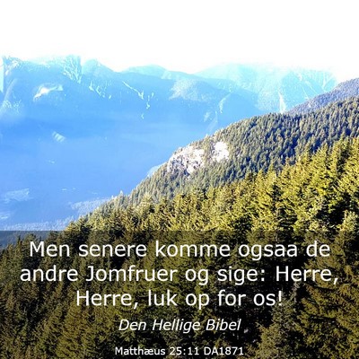 Picture 03 - Matthæus 25:11 DA1871 - Men senere komme ogsaa de andre Jomfruer og sige: - Bible Verse Picture
